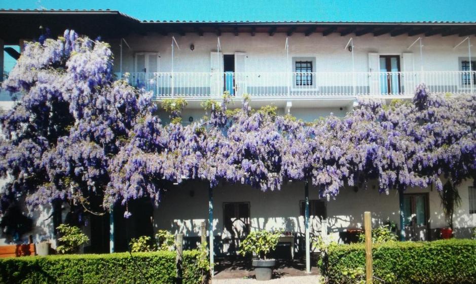 Agriturismo La Capuccina Guest House Varallo Pombia Exterior photo